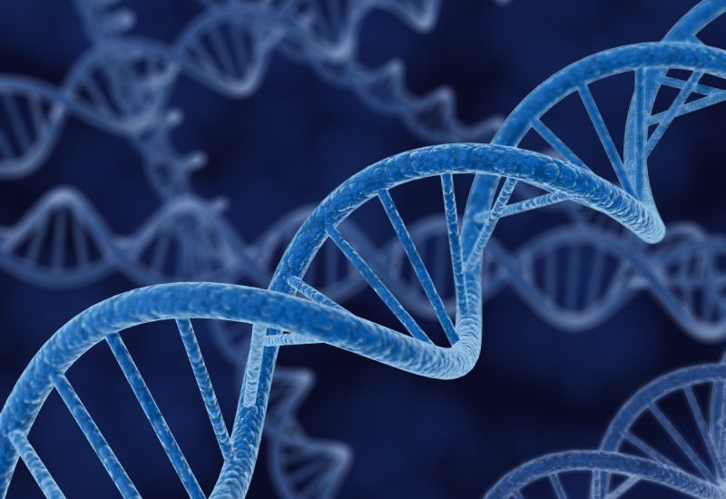 Justiça determina teste de DNA de última geração para esclarecer caso de 30 anos